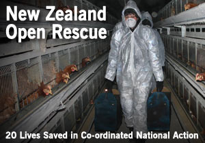 New Zealand Open Rescue - 20 Lives Saved in Co-ordinated National Action
